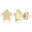 Gold Star Stud Earrings