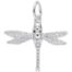 Dragonfly Charm
