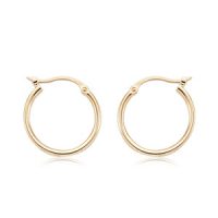 Small Hoop Earrings