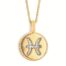 Zodiac Pisces Necklace